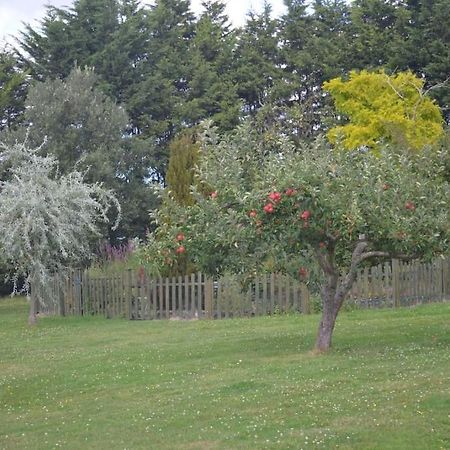 The Willow Studio - Peaceful Retreat Near Whitstable Seaside Faversham Eksteriør bilde