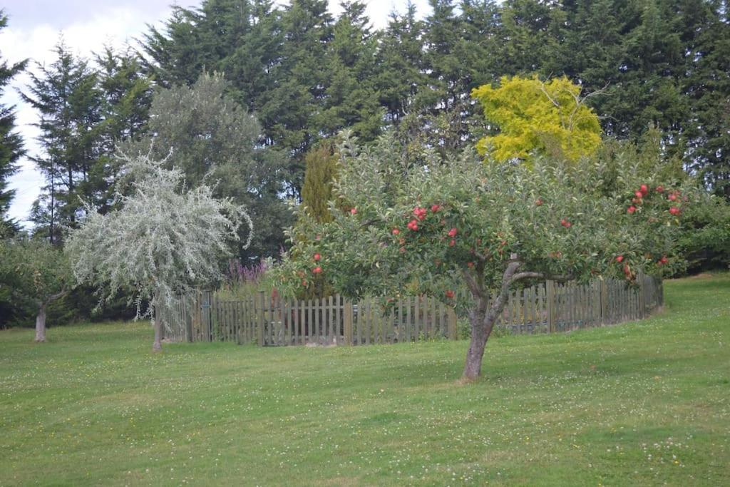 The Willow Studio - Peaceful Retreat Near Whitstable Seaside Faversham Eksteriør bilde