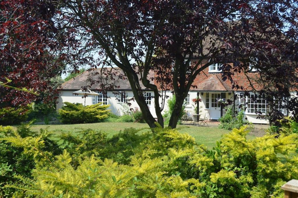 The Willow Studio - Peaceful Retreat Near Whitstable Seaside Faversham Eksteriør bilde